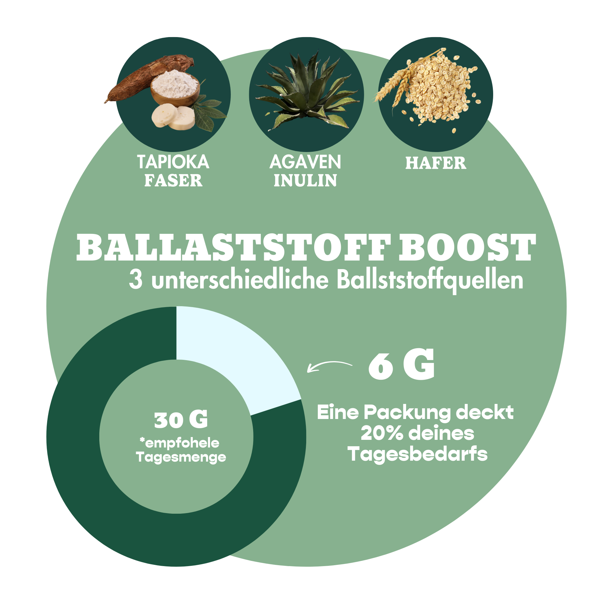 12er Mixed Box Bio-Bites