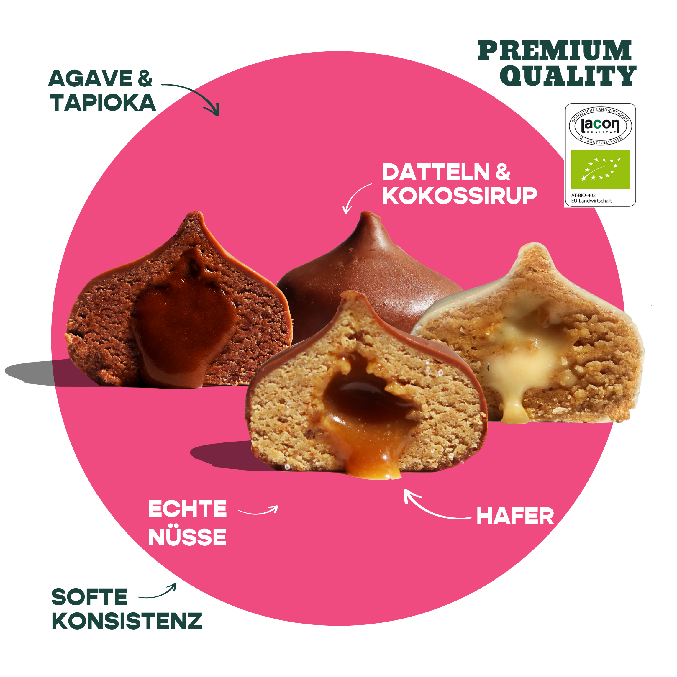 12er Mixed Box Bio-Bites