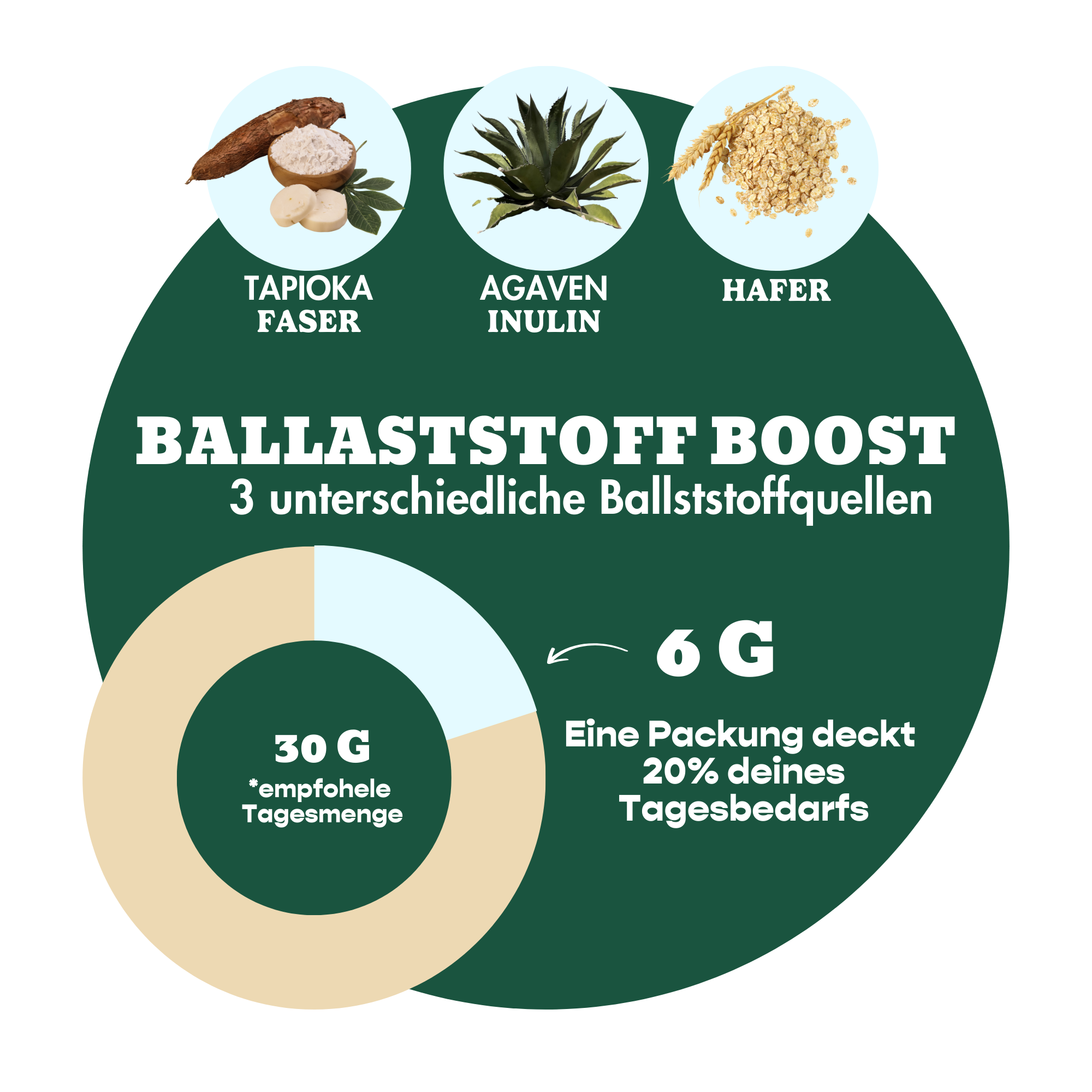 12er Mixed Box Bio-Haferriegel