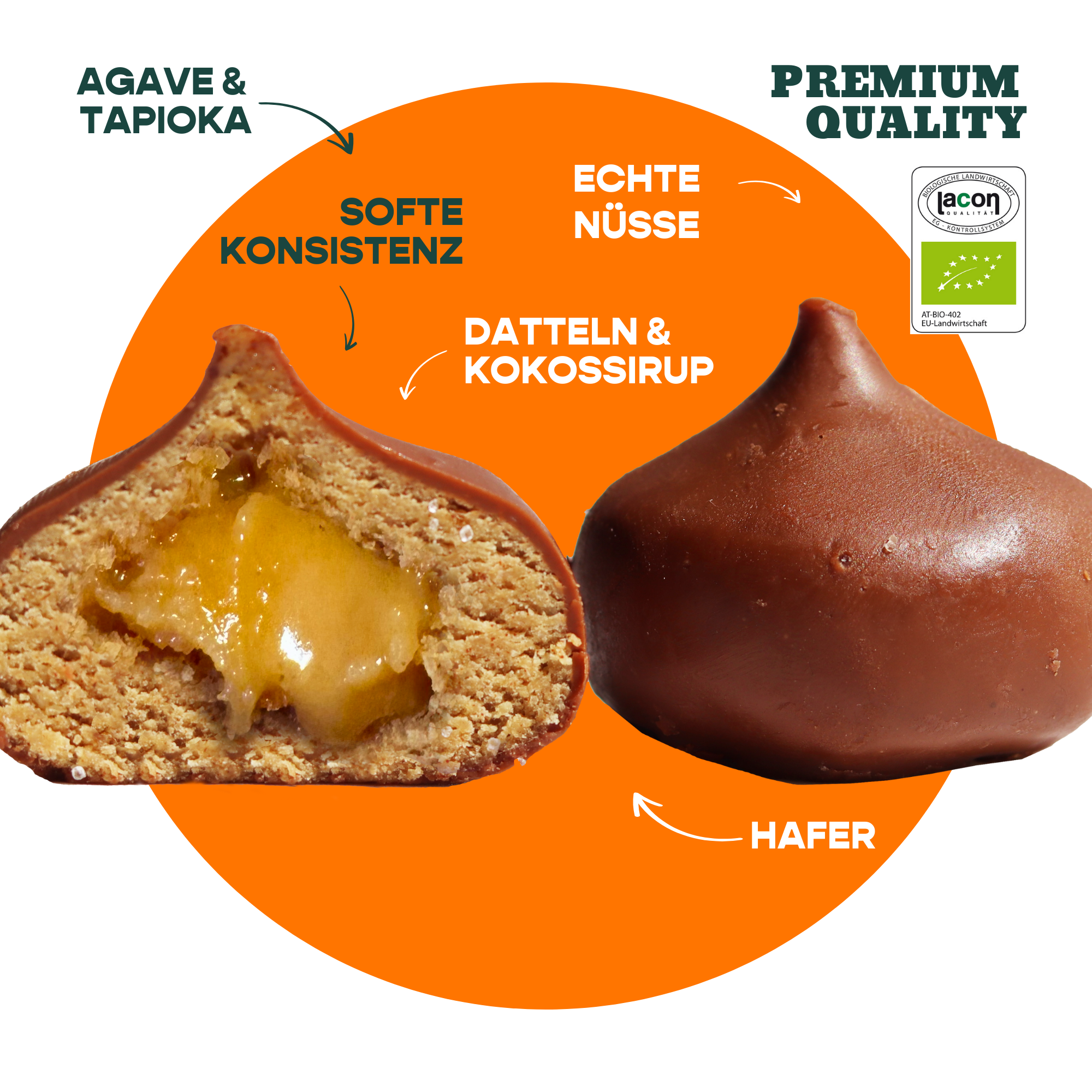 12er Box Bio-Bites Salted Peanut