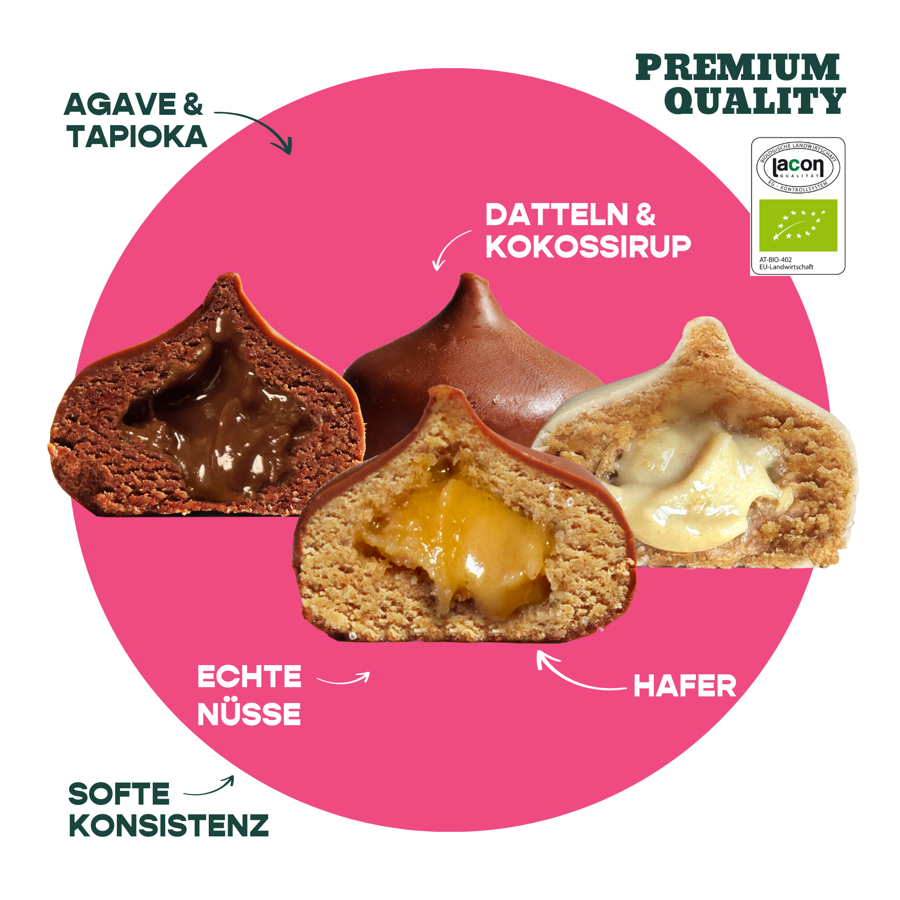 12er Mixed Box Bio-Bites (2. Wahl)