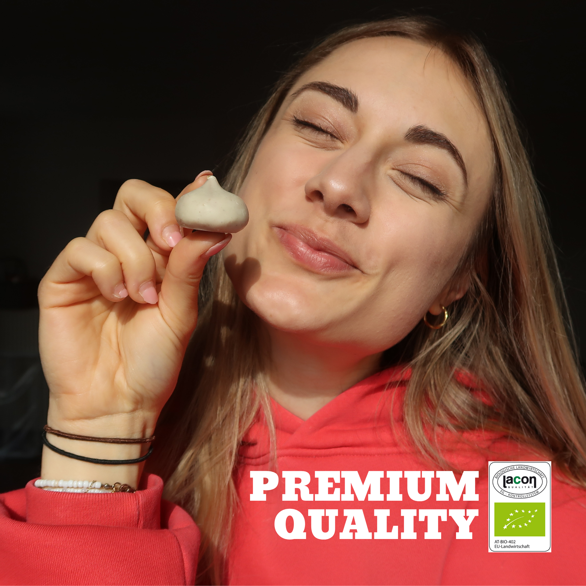 12-pack organic bites cinnamon roll