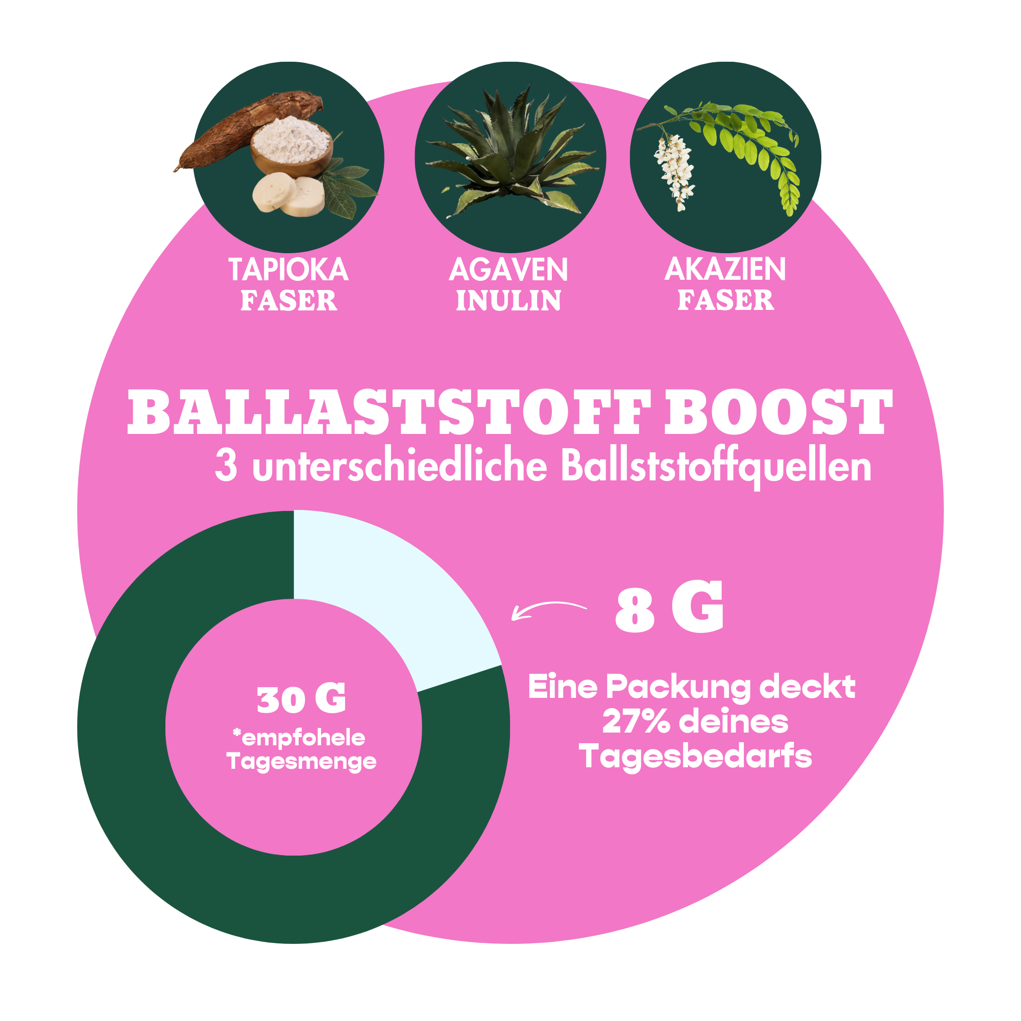 12er Box Bio-Bites Vanilla Matcha