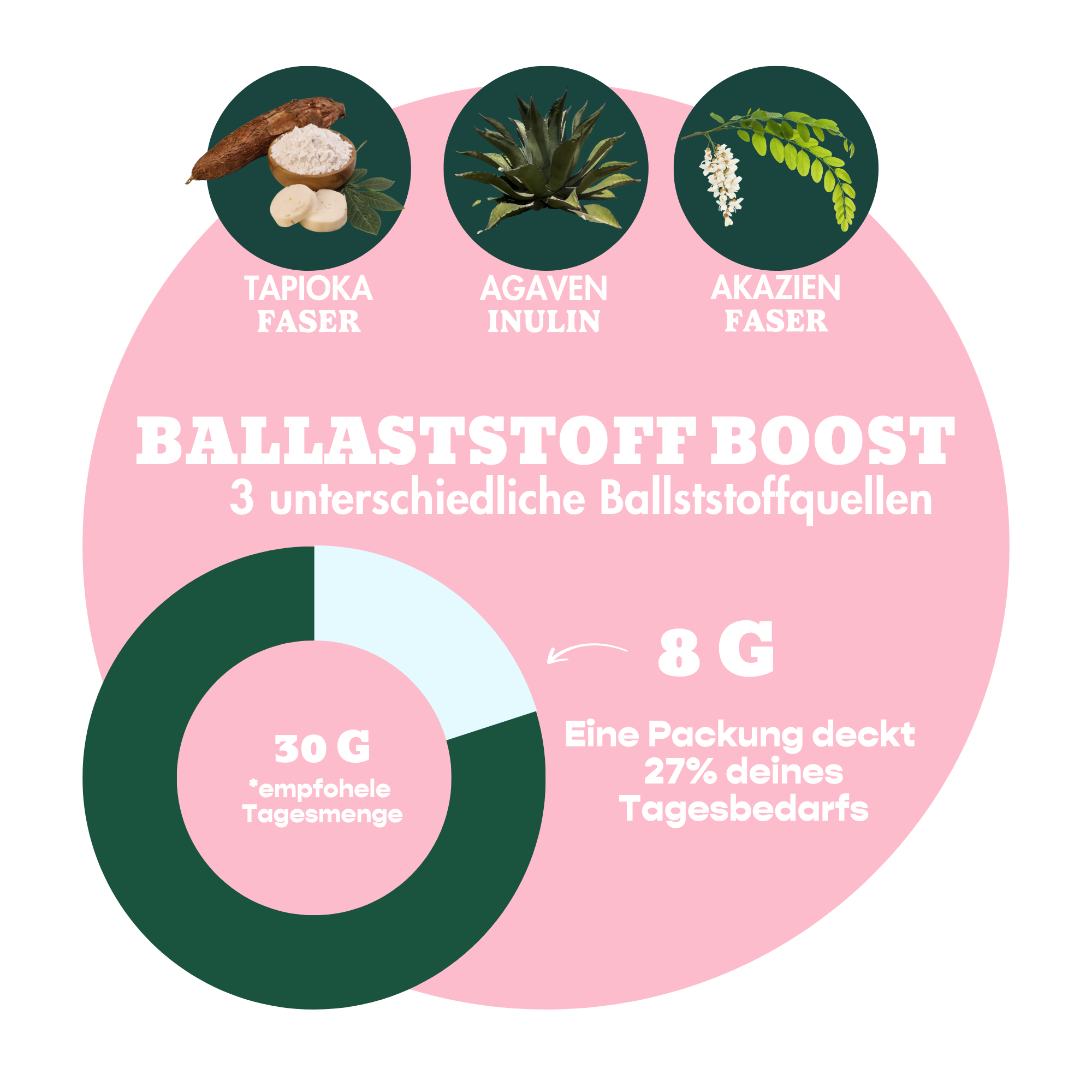 12er Box Bio-Bites Raspberry Coconut x Sarah Franssen