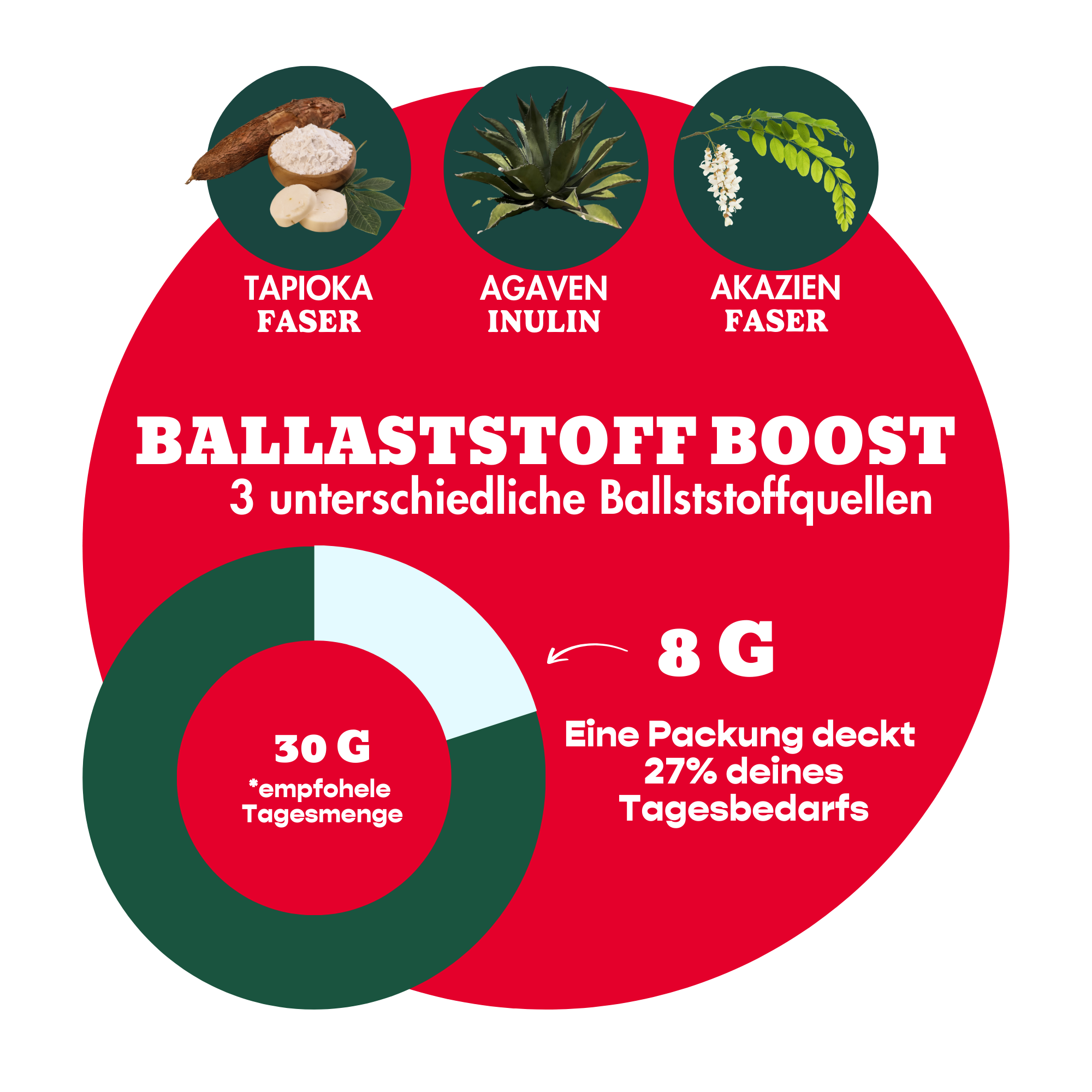 12er Box Bio-Bites Cookie Dough