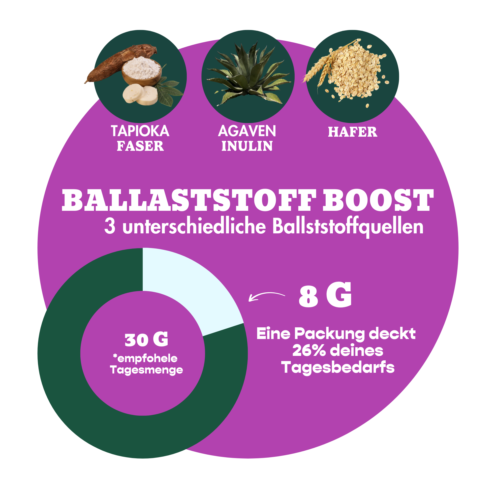 12er Box Haferriegel Brownie & Haselnuss
