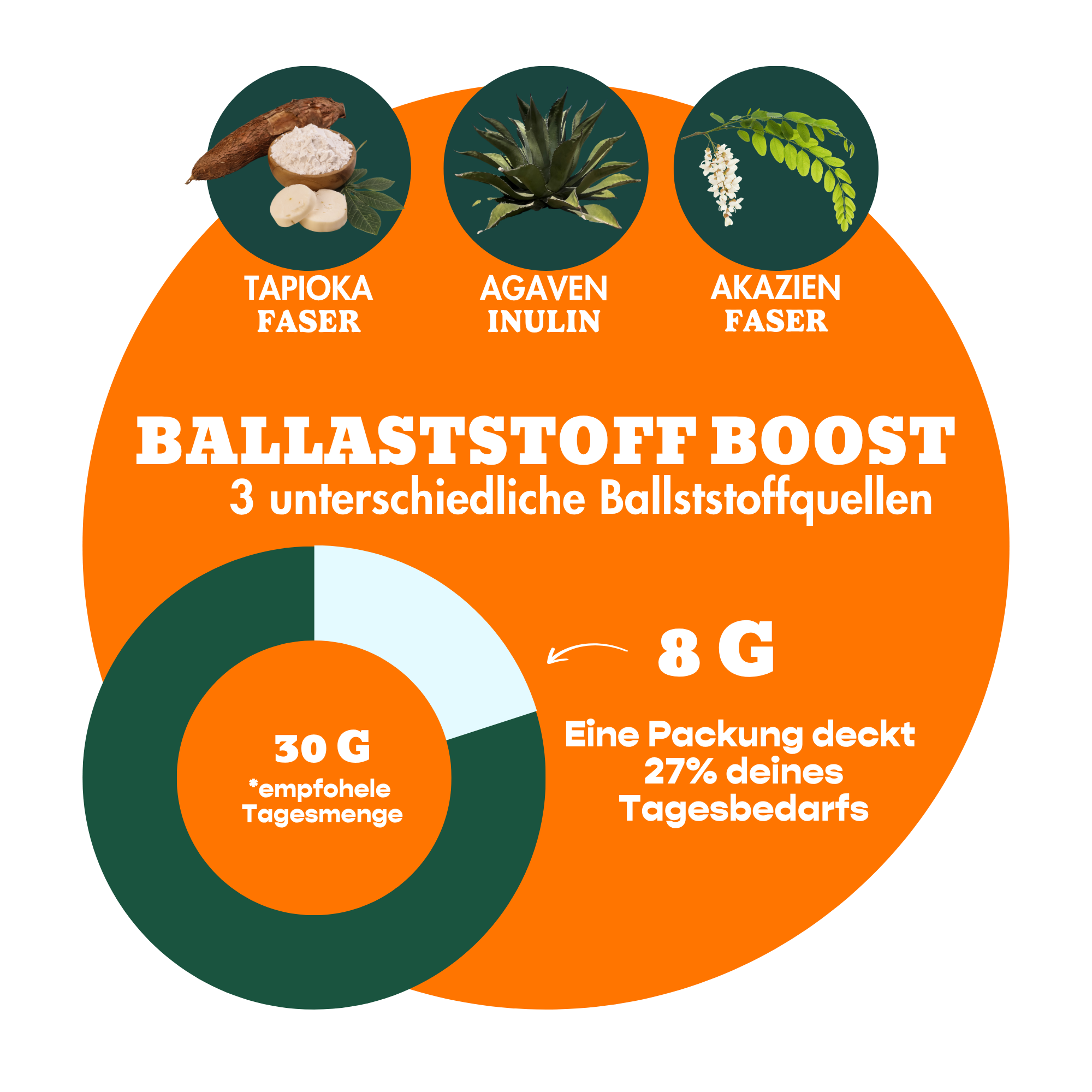 12er Box Bio-Bites Salted Peanut