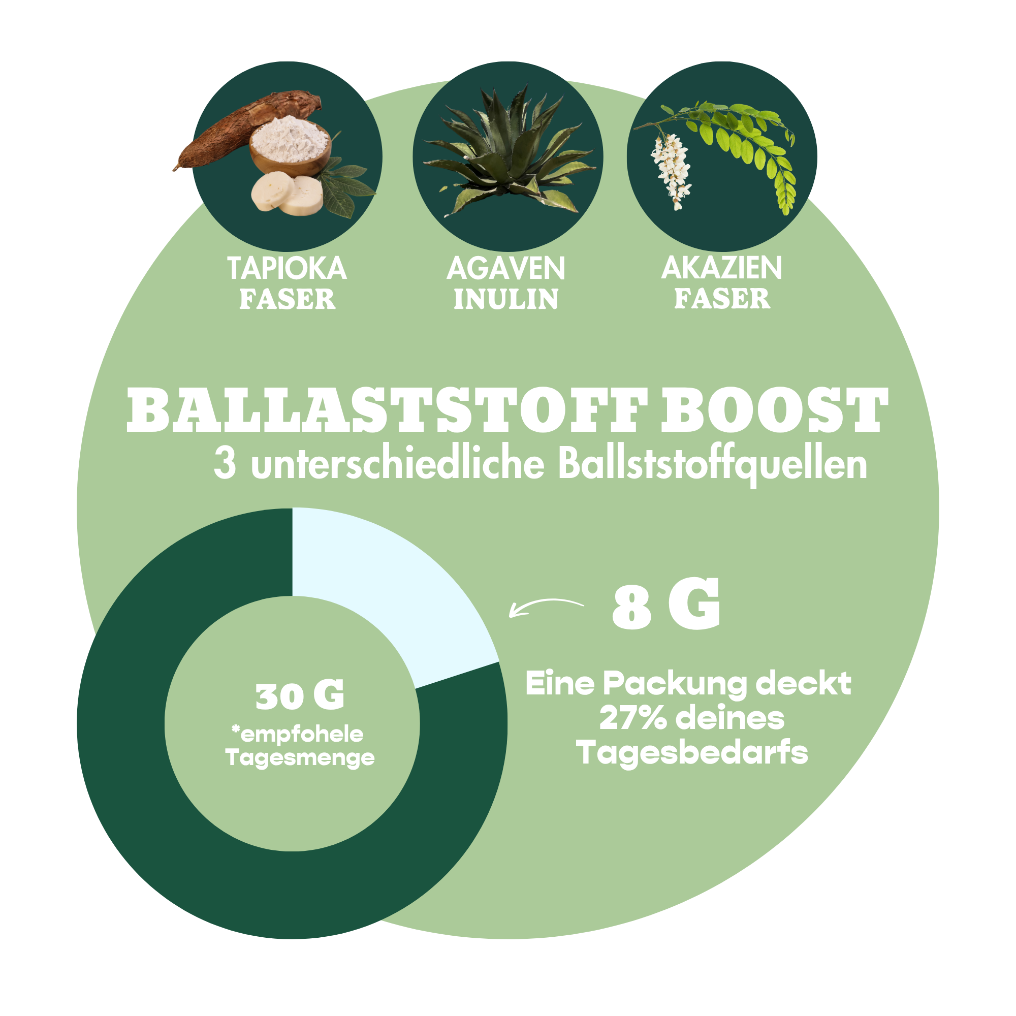 12er Box Bio-Bites Coconut Matcha x Gotcha Matcha