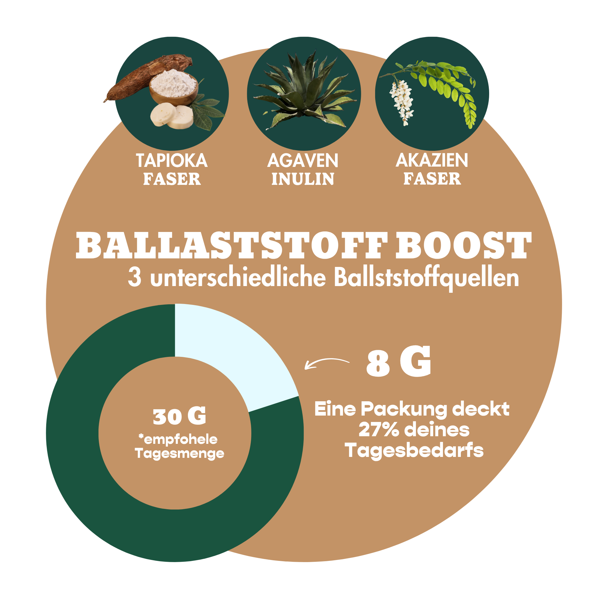 12er Box Bio-Bites Cinnamon Roll