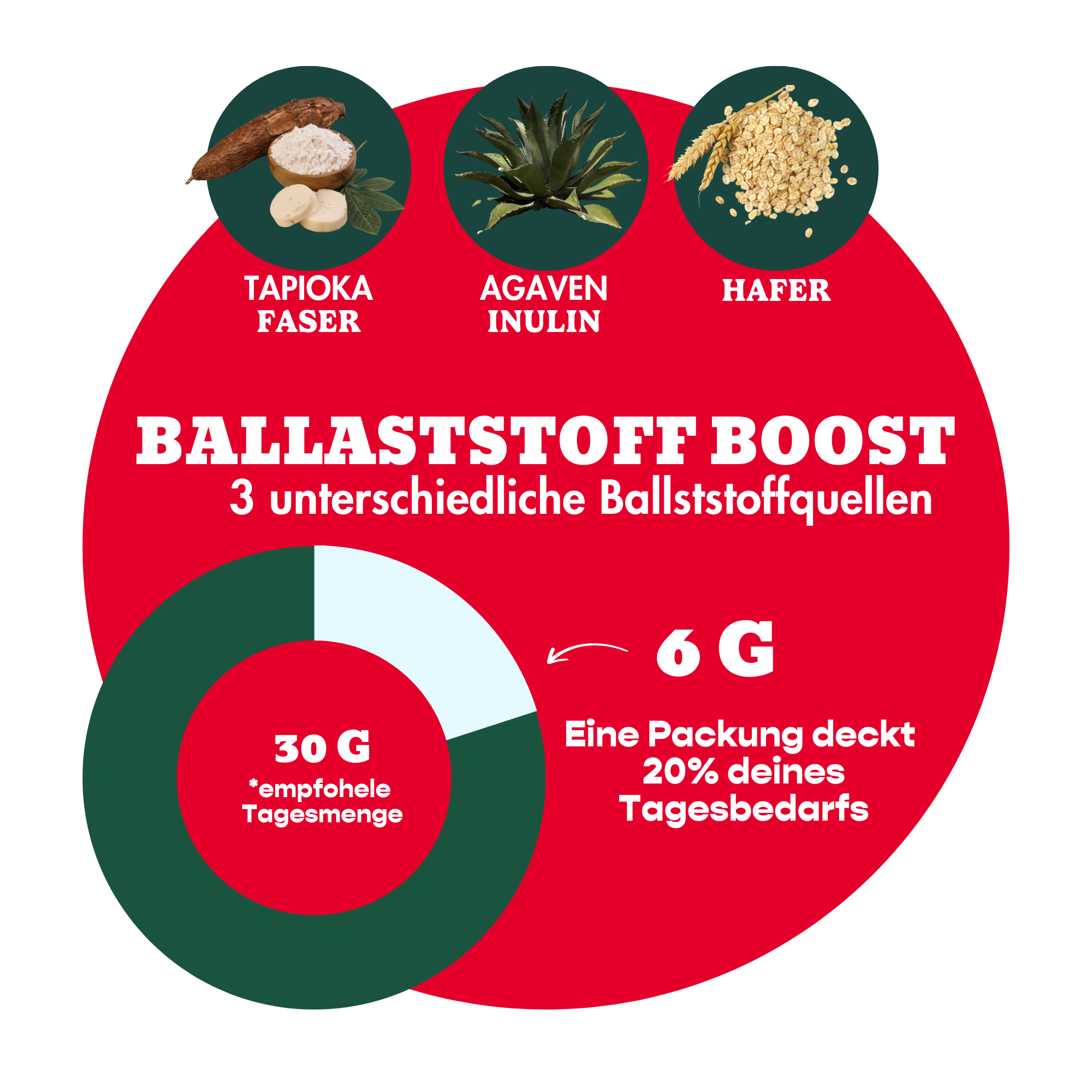 12er Box Bio-Bites Cookie Dough
