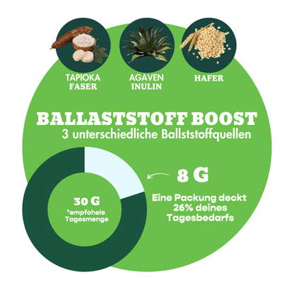 12er Box Haferriegel Apfel Crunch & Zimt