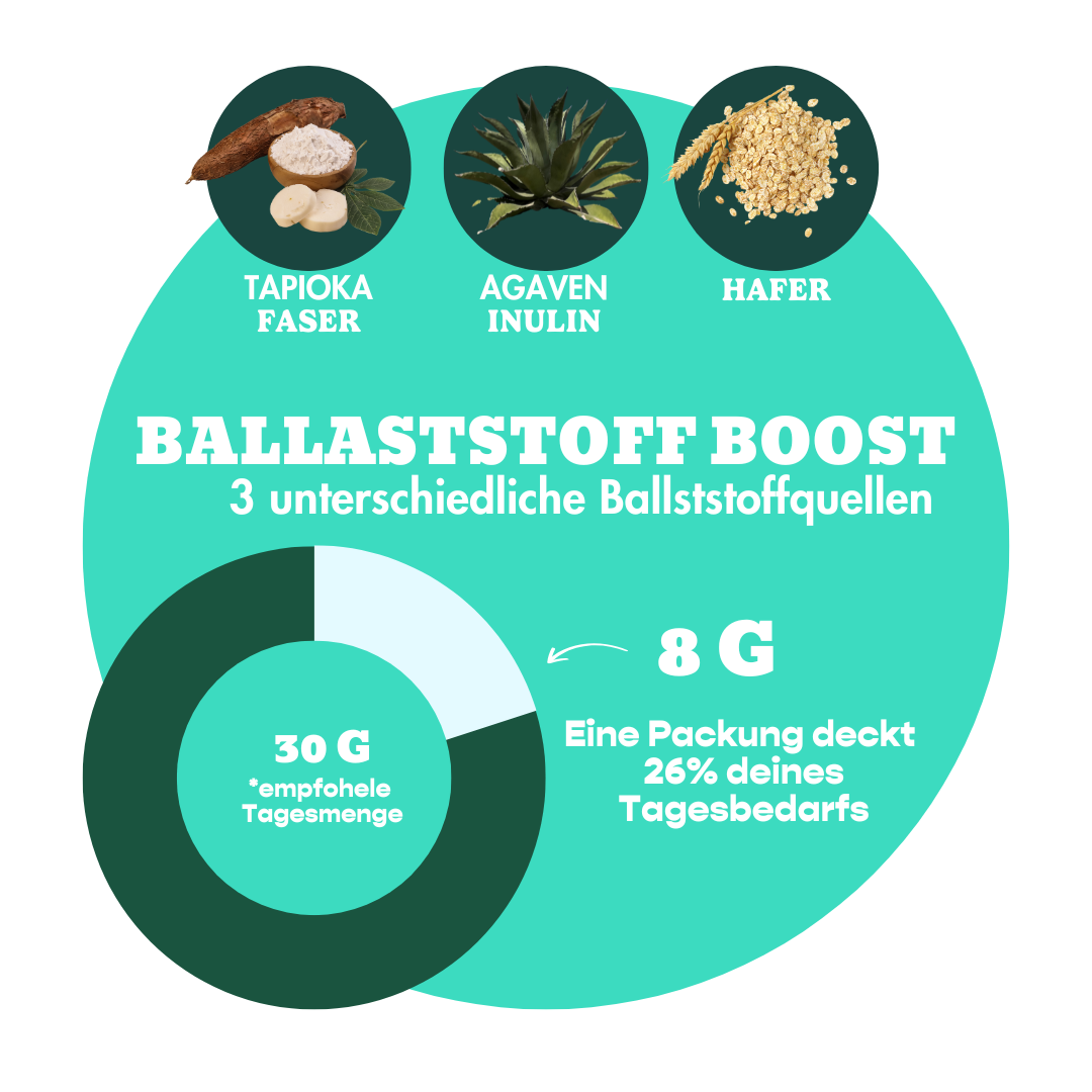 12er Box Bio-Haferriegel Cookie Dough